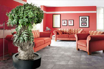 Beispiel für Raumplanung